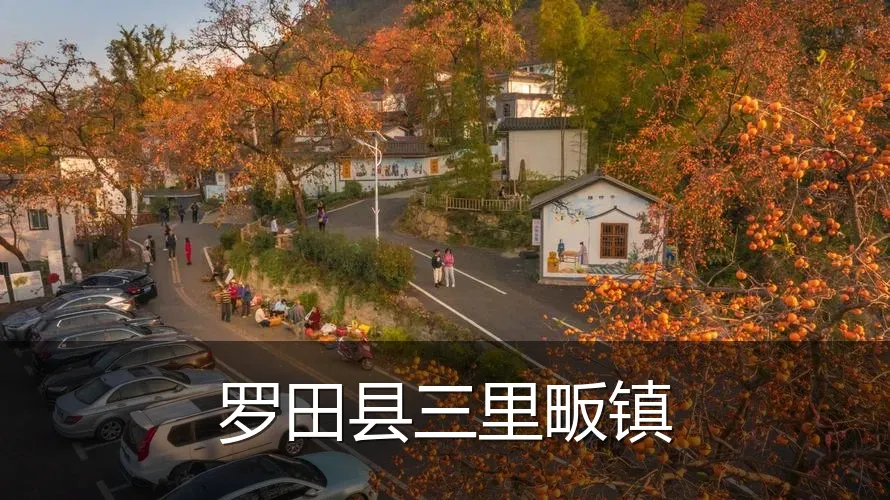 罗田县三里畈镇