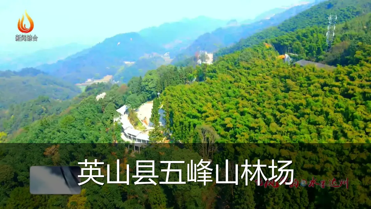 英山县五峰山林场