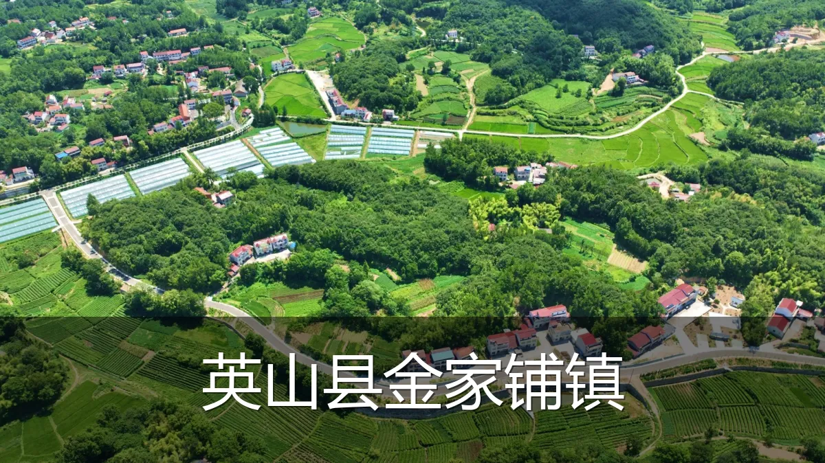 英山县金家铺镇