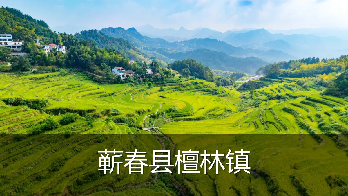 蕲春县檀林镇