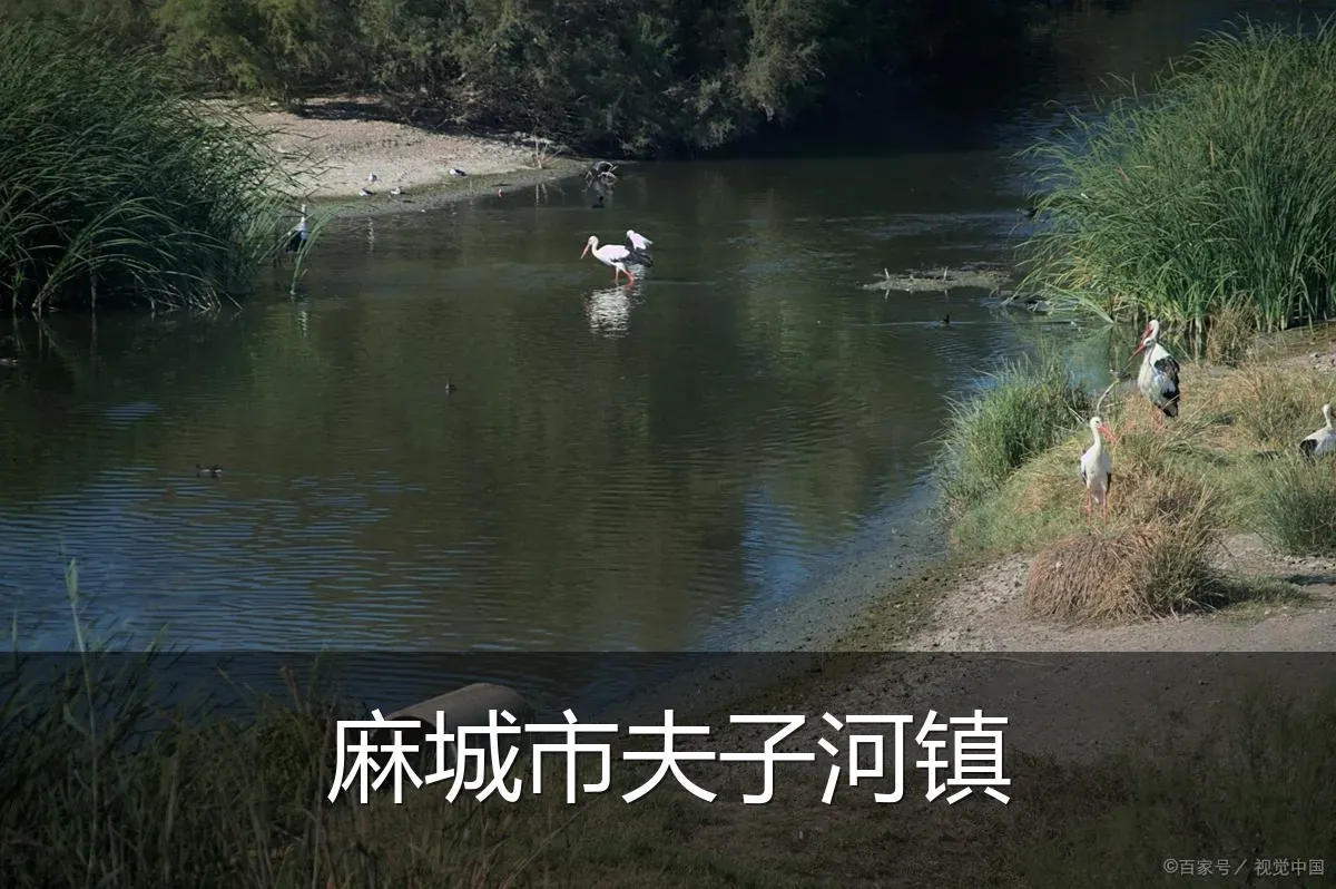 麻城市夫子河镇
