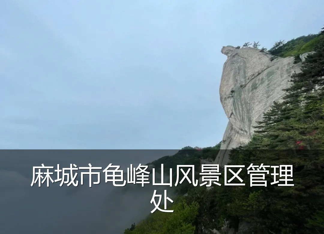 麻城市龟峰山风景区管理处