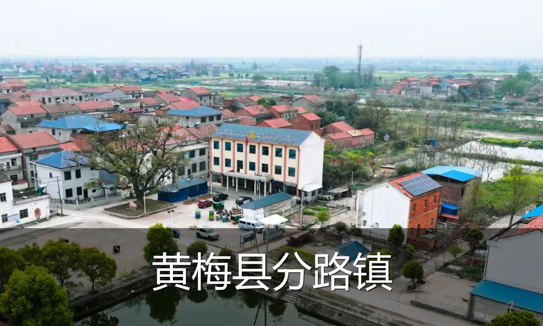 黄梅县分路镇