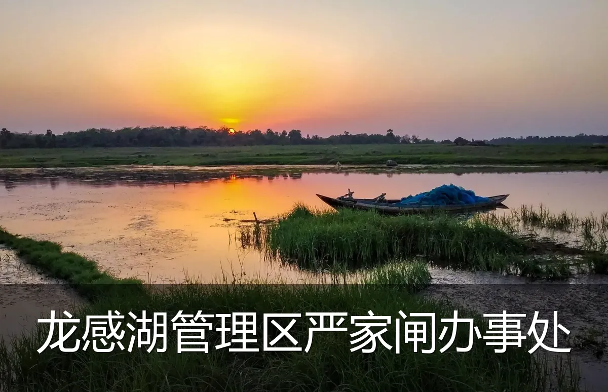 龙感湖管理区严家闸办事处
